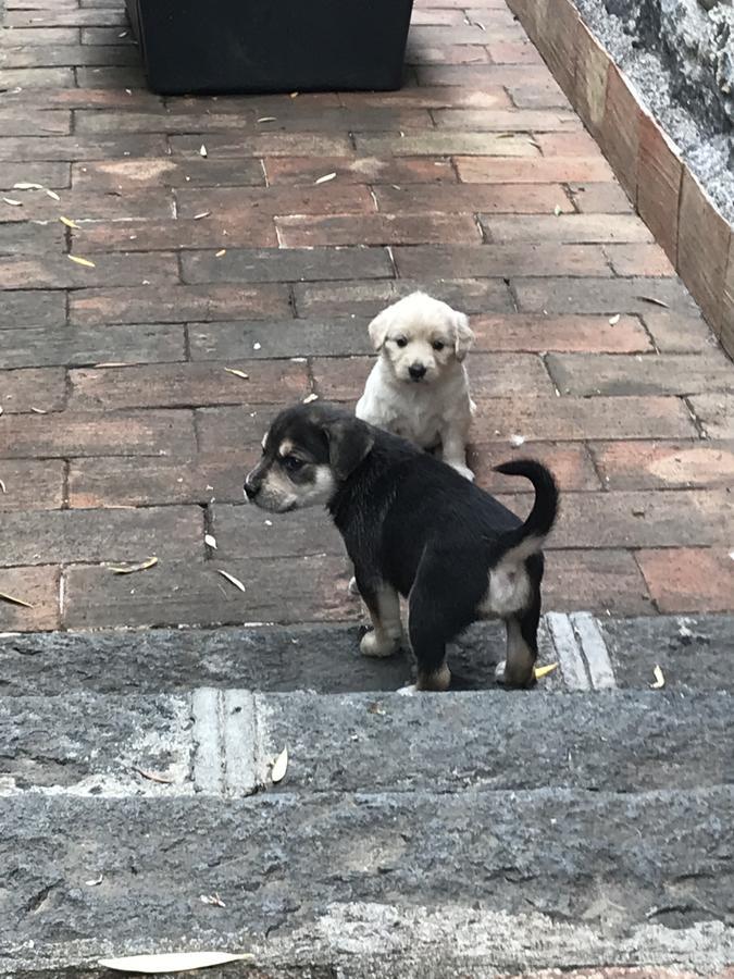 Willa Borgo San Biagio Calatabiano Zewnętrze zdjęcie